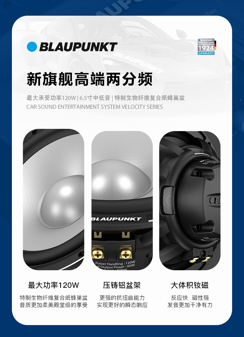 德國(guó)（藍(lán)寶BLAUPUNKT）MPS 2662 C38 新旗艦高端兩分頻